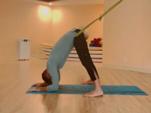 yoga down dog indoor